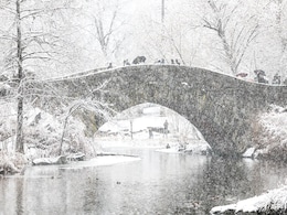 Over 1,220 Flights Cancelled, Schools Shut After Snowstorm Hits US Over 1,220 Flights Cancelled, Schools Shut After Snowstorm Hits US