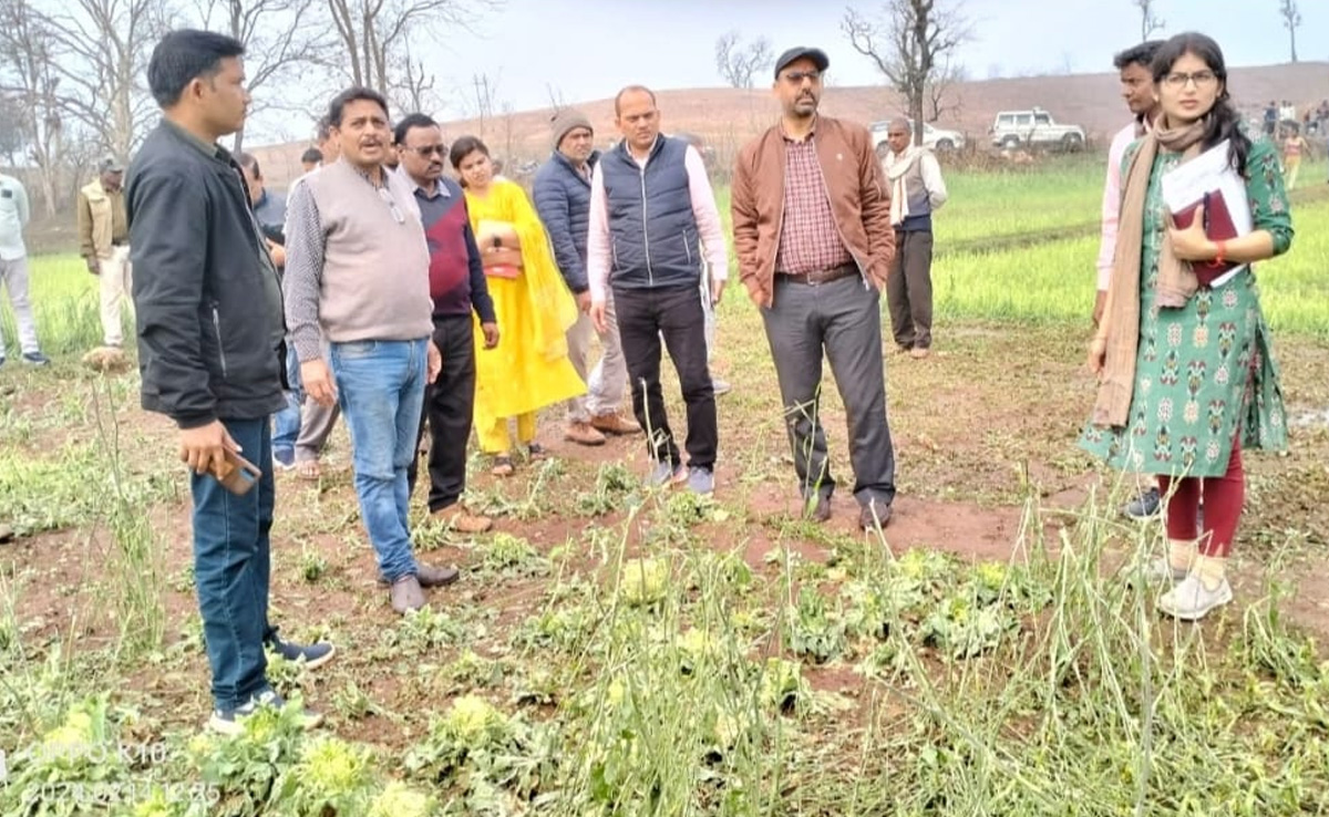 ओलावृष्टि और बारिश से किसानों की फसल हुई बर्बाद,  तबाही का जायजा लेने खेतों में उतरे कलेक्टर