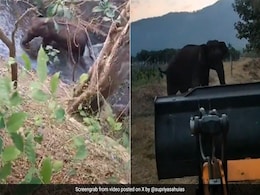 हाथी ने सूंड उठाकर किया 'धन्यवाद', जब वन अधिकारियों ने बचाई नहर में गिरे हाथी के बच्चे की जान, IAS ने शेयर किया Video हाथी ने सूंड उठाकर किया 'धन्यवाद', जब वन अधिकारियों ने बचाई नहर में गिरे हाथी के बच्चे की जान, IAS ने शेयर किया Video