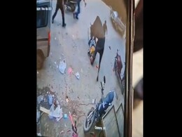 On CCTV, Man Stomped By Bull While Bringing Son From Delhi School, Dies On CCTV, Man Stomped By Bull While Bringing Son From Delhi School, Dies