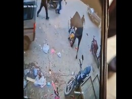 बेटे को स्कूल से लाने गए थे पिता, सांड ने कर दिया हमला; इलाज के दौरान मौत बेटे को स्कूल से लाने गए थे पिता, सांड ने कर दिया हमला; इलाज के दौरान मौत