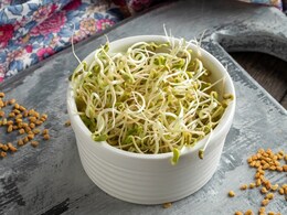 Move Over Methi Saag. Add Methi Shoots To Your Diet And Enjoy The Goodness Move Over Methi Saag. Add Methi Shoots To Your Diet And Enjoy The Goodness