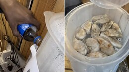 <i>"Zeher Momos"</i> - Internet Shocked By Momos Made With Pepsi