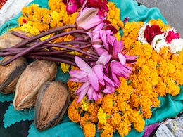 Jaya Ekadashi 2024: जया एकादशी पर बरसेगा भगवान विष्णु का आशीर्वाद जब उन्हें चढ़ाएंगे ये खास फूल Jaya Ekadashi 2024: जया एकादशी पर बरसेगा भगवान विष्णु का आशीर्वाद जब उन्हें चढ़ाएंगे ये खास फूल