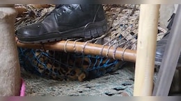 Video: Leopard Strays Into UP House, Dies After Being Trapped Under Cot