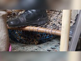 Video: Leopard Strays Into UP House, Dies After Being Trapped Under Cot Video: Leopard Strays Into UP House, Dies After Being Trapped Under Cot