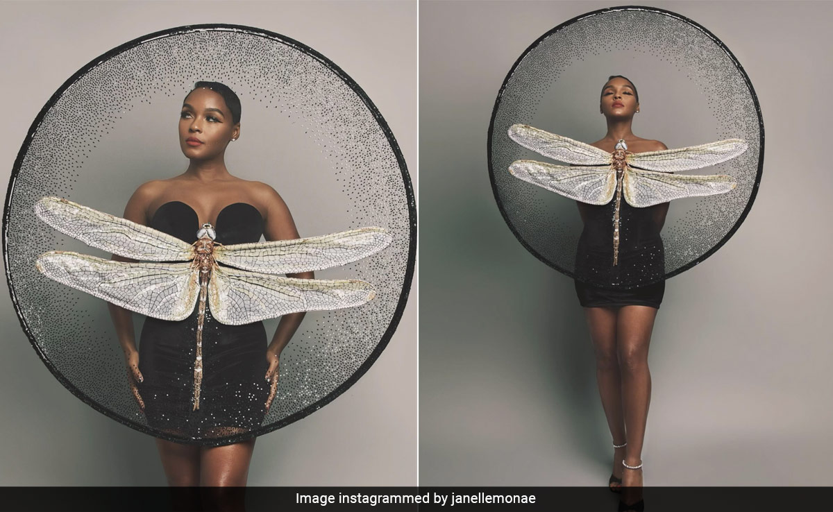 After Ananya Panday, Janelle Monae Was Bit By Rahul Mishra's Stylish Dragonfly Net Dress Bug Too