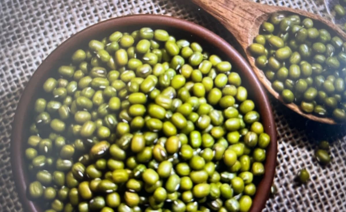 Latest and Breaking News on NDTV Latest and Breaking News on NDTV