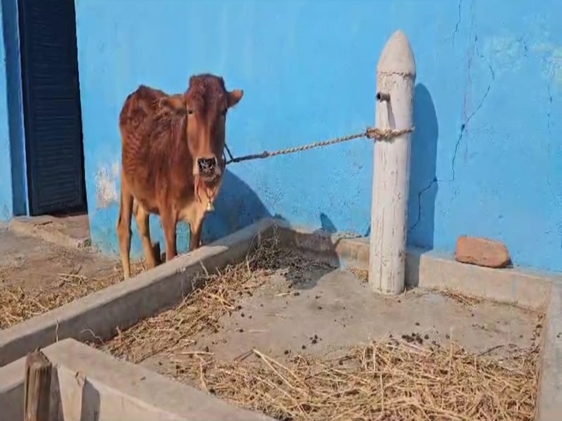 जल जीवन मिशन: नल से जल के लिए यहां&nbsp;₹66 करोड़ खर्च, 2 साल बाद भी नहीं आया पानी