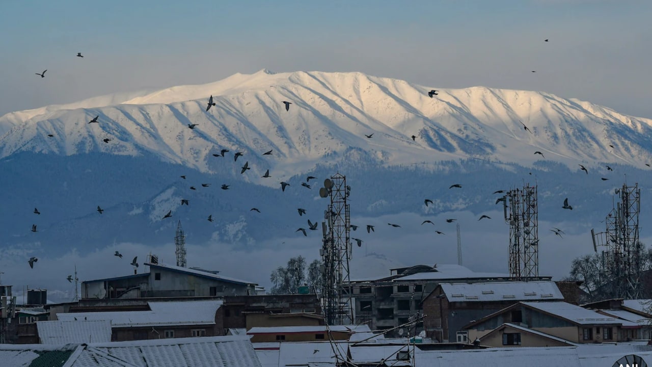 Blog: Blog | We Have Not Lost Ourselves - Notes From A Kashmiri Pandit