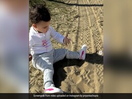 Malti Marie Funny Pics: प्रियंका चोपड़ा की फैंस को ट्रीट, शेयर की तस्वीरें, बेटी मालती के पोज देख छूटेगी हंसी Malti Marie Funny Pics: प्रियंका चोपड़ा की फैंस को ट्रीट, शेयर की तस्वीरें, बेटी मालती के पोज देख छूटेगी हंसी