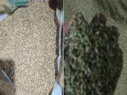 Indore: हरा रंग मिलाकर सौंफ तैयार करने वाले पर खाद्य विभाग की कार्रवाई, पुलिस ने दर्ज की एफआईआर Indore: हरा रंग मिलाकर सौंफ तैयार करने वाले पर खाद्य विभाग की कार्रवाई, पुलिस ने दर्ज की एफआईआर