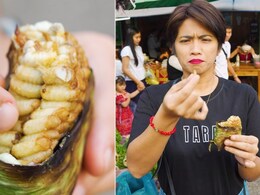Internet Is Cringed After Watching This Food Blogger Eating Grilled Honey Bee Larvae