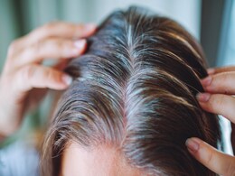 इस तेल से बालों की सफेदी हो सकती है दूर, बस मेथी के साथ मिलाकर करनी होगी बालों की मालिश  इस तेल से बालों की सफेदी हो सकती है दूर, बस मेथी के साथ मिलाकर करनी होगी बालों की मालिश