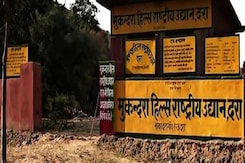 मुकुंदरा टाइगर रिजर्व में बाघों की एन्ट्री, लेकिन यहां के चार परिवार क्यों है परेशान? मुकुंदरा टाइगर रिजर्व में बाघों की एन्ट्री, लेकिन यहां के चार परिवार क्यों है परेशान?