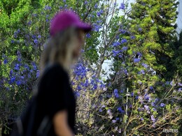 'Spring Came Early': February Likely Warmest On Record Amid Climate Change 'Spring Came Early': February Likely Warmest On Record Amid Climate Change