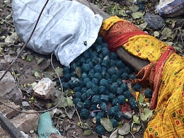 Harda Blast: पिता को खाना देने आया था 8 साल का गणेश और हो गया धमाका, कई घरों में सन्नाटा कर गए पटाखे Harda Blast: पिता को खाना देने आया था 8 साल का गणेश और हो गया धमाका, कई घरों में सन्नाटा कर गए पटाखे