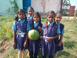 प्रधानमंत्री पोषण शक्ति निर्माण योजना: छत्तीसगढ़ के स्कूलों में अब न्योता भोजन, ऐसे साकार होगा 'सबका प्रयास' प्रधानमंत्री पोषण शक्ति निर्माण योजना: छत्तीसगढ़ के स्कूलों में अब न्योता भोजन, ऐसे साकार होगा 'सबका प्रयास'