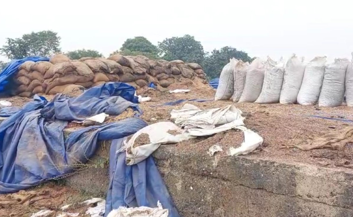 Jabalpur News: रखे-रखे गायब हो गई करोड़ों की धान, सुरक्षा के लिए जिम्मेदार गो ग्रीन कंपनी के CEO के खिलाफ FIR