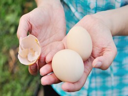 पुराना अंडा तो नहीं खा रहे हैं आप, इस तरह से करें पहचान नहीं तो हो सकते हैं बीमार पुराना अंडा तो नहीं खा रहे हैं आप, इस तरह से करें पहचान नहीं तो हो सकते हैं बीमार