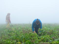 राजस्थान में किसी भी वक्त शुरू हो सकती है बारिश, ओलावृष्टी की भी संभावना, IMD ने किया अलर्ट