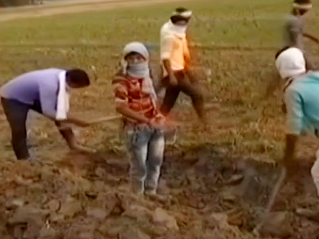 मध्य प्रदेश में मनरेगा मज़दूर बेहाल, पंचायत से लेकर जनपद तक के चक्कर काटने को मजबूर