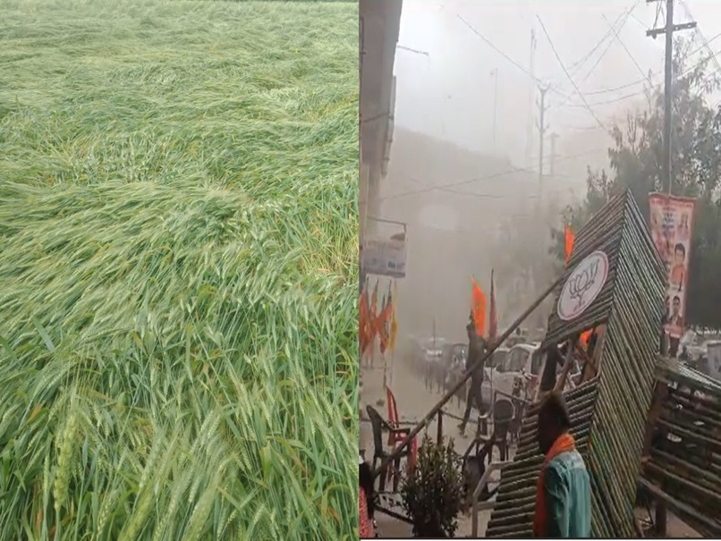 MP में अचानक बदला मौसम, कहीं ओले बरसे तो कहीं धूल भरी आंधी-बिजली, फसल-गेट हुए धराशायी, 2 की मौत