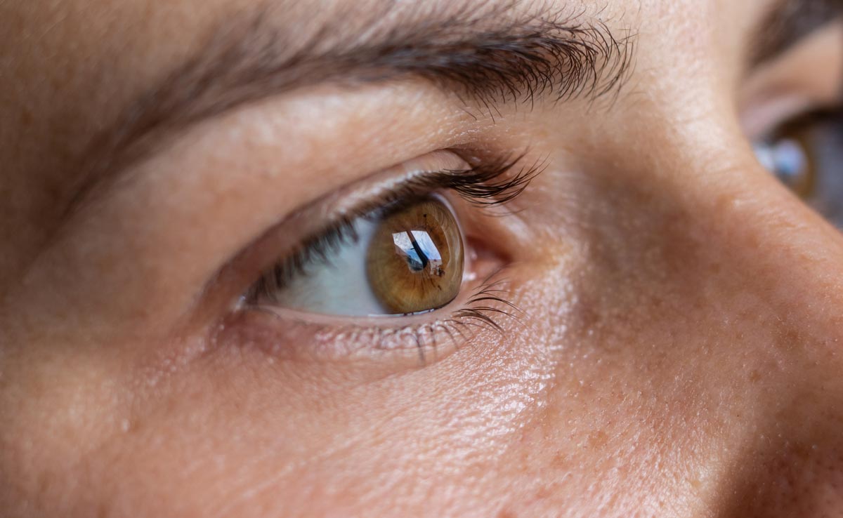 Blinking May Be Helping Us Process Big, Slow-Changing Patterns: Study