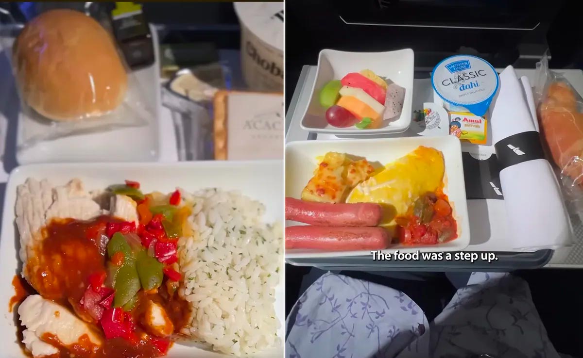 Viral Video: Vlogger Compares Indian Versus American Food On Flight, Internet Reacts