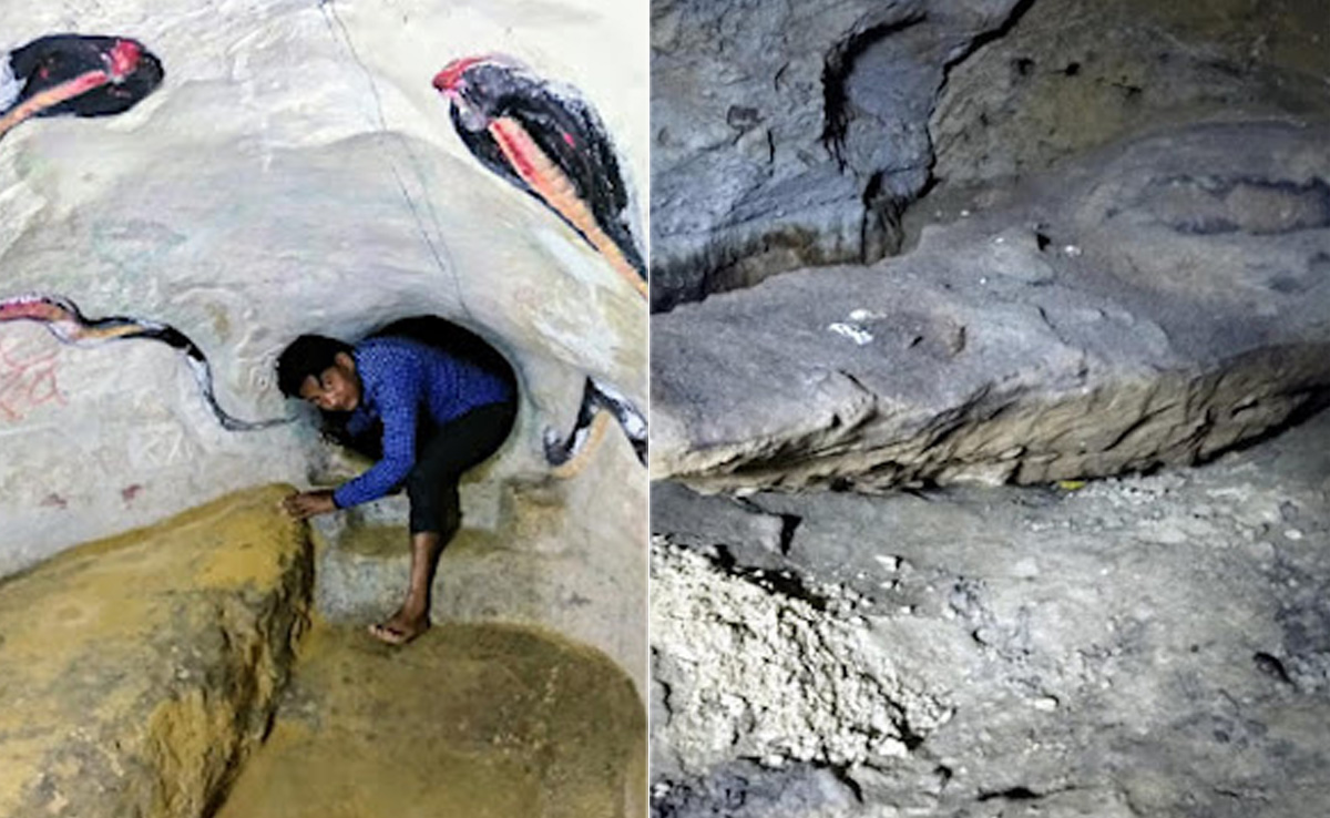 करोड़ों साल पहले समुद्र के नीचे था छत्तीसगढ़, आज भी मौजूद हैं साक्ष्य, बनेगा एशिया का सबसे बड़ा फॉसिल्स पार्क