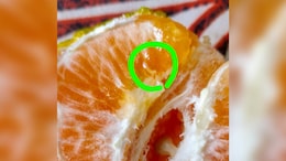 "I Could Have Eaten Them": Man Spots Live Worm In Orange Ordered From Zepto; Company Responds