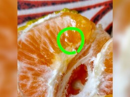 "I Could Have Eaten Them": Man Spots Live Worm In Orange Ordered From Zepto; Company Responds