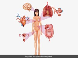 हर इंसान के पास हैं दो 'पाद', क्या आपको पता है ये किस अंग का संस्कृत नाम है? यहां हैं संस्कृत में 10 अंगों के नाम, बस ज्ञानी ही जानते हैं हर इंसान के पास हैं दो 'पाद', क्या आपको पता है ये किस अंग का संस्कृत नाम है? यहां हैं संस्कृत में 10 अंगों के नाम, बस ज्ञानी ही जानते हैं