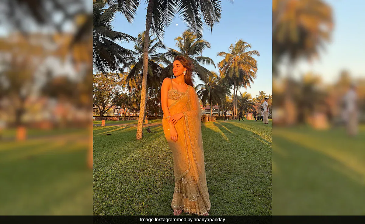 At Rakul Preet Singh And Jackky Bhagnani's Goa Wedding, Ananya Panday Had This Much Fun