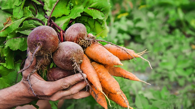 Raw vegetables are high in fibre and can potentially cause bloating