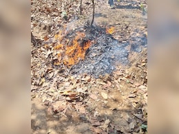 प्रेशर कूकर में था 2 किलो विस्फोटक :  माओवादियों की हमले की योजना को जानिए कैसे किया विफल प्रेशर कूकर में था 2 किलो विस्फोटक :  माओवादियों की हमले की योजना को जानिए कैसे किया विफल