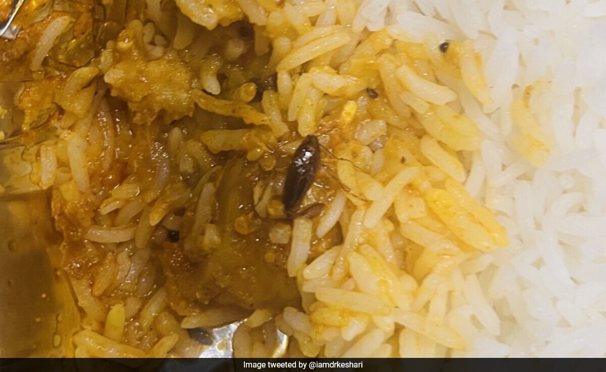 Cockroach Found In Meal Served On Vande Bharat Train, Railways Responds