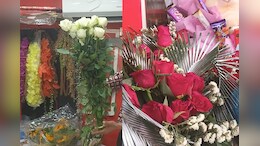 Valantine Day पर राजस्थान में थाईलैंड और बैंकॉक से आए लंबे गुलाब की चर्चा, जानें क्यों है देशी गुलाब से अव्वल