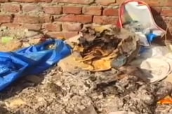 दिल्ली : बुराड़ी में घर में हुए धमाके में नाइजीरिया के दो लोगों की मौत दिल्ली : बुराड़ी में घर में हुए धमाके में नाइजीरिया के दो लोगों की मौत