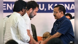 "Half In Jail, Half On Bail": BJP Chief JP Nadda Slams INDIA Bloc Leaders