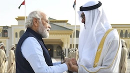 "Reflection Of Your Love For India": PM Thanks UAE President For BAPS Temple