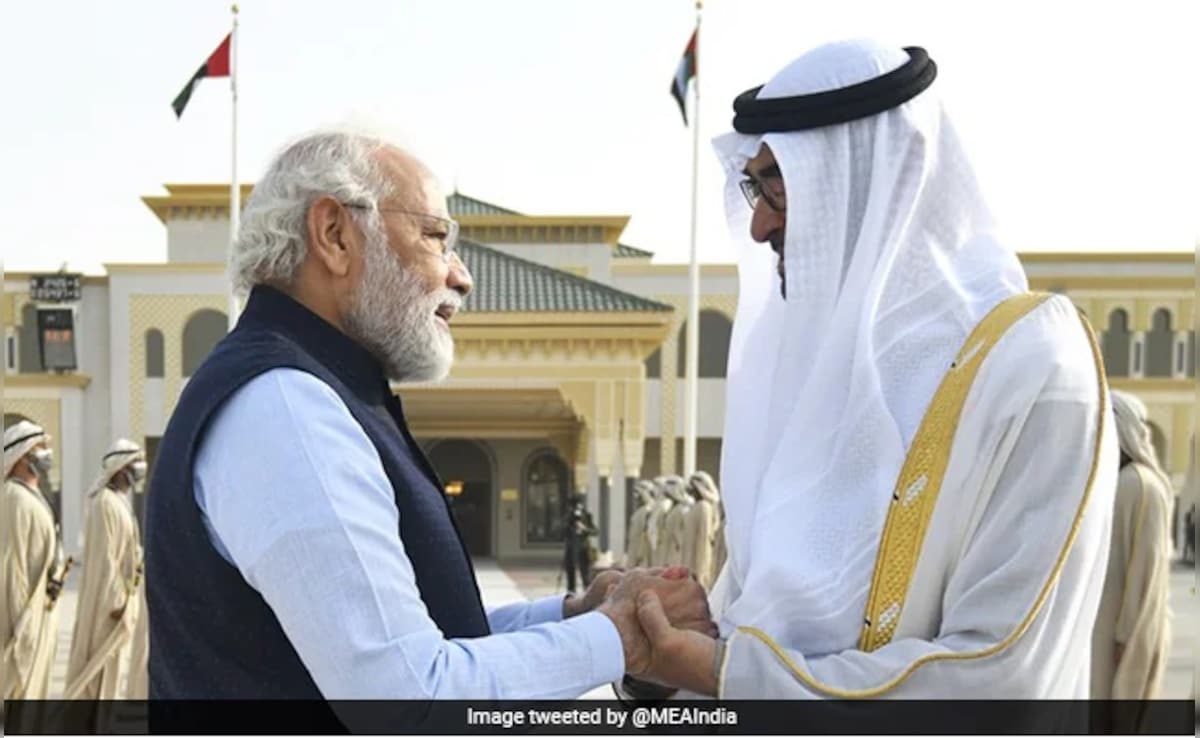Opinion: Opinion | A New Gulf Divide Is Forming, And India Risks Getting Caught In The Middle
