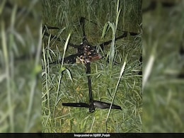 Border Forces Recover Drone Carrying 3 Packets Of Drugs In Punjab Border Forces Recover Drone Carrying 3 Packets Of Drugs In Punjab