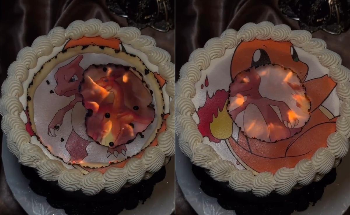 Trending Burn-Away Cakes: Why People Want Their Cakes To Be Set On Fire - Explained