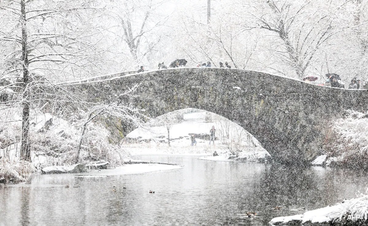 Over 1,220 Flights Cancelled, Schools Shut After Snowstorm Hits US - Vimarsana News