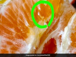 शख्स ने Zepto से ऑर्डर किए संतरे, एक के अंदर से निकला रेंगता हुआ कीड़ा, शेयर किया Video, कंपनी ने मांगी माफी शख्स ने Zepto से ऑर्डर किए संतरे, एक के अंदर से निकला रेंगता हुआ कीड़ा, शेयर किया Video, कंपनी ने मांगी माफी