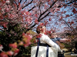 "Quiet Emergency": Japan Births In 2024 Fell Below 700,000 For First Time