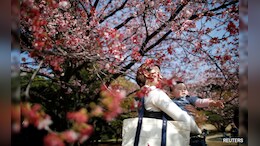Japan Births Fall For 10th Straight Year