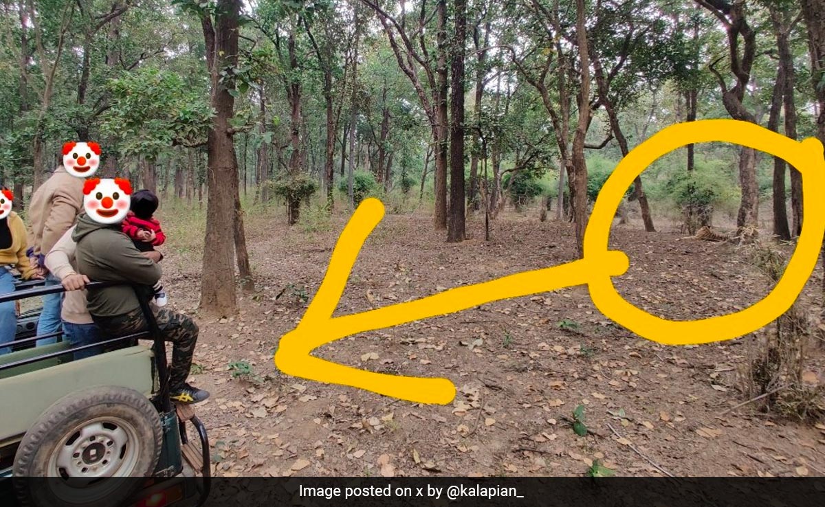 पर्यटकों ने जंगल सफारी के दौरान की जान जोखिम में डालने वाली हरकत, शख्स ने शेयर की फोटो, लोगों ने दी हिदायत