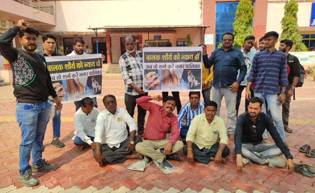 पोस्टमार्टम के लायक भी नहीं बचा शव! बड़वानी में आवारा कुत्तों ने दो साल के मासूम को नोचा, हुई मौत